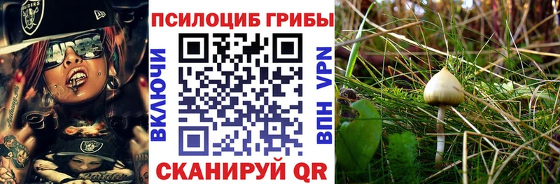 Псилоцибиновые грибы Cubensis Каменск-Уральский